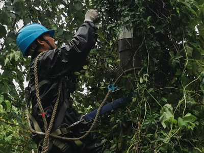 為戰(zhàn)臺(tái)風(fēng)保供電，創(chuàng)輝電氣這樣做